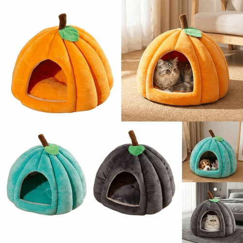 Non slip design pet - design,