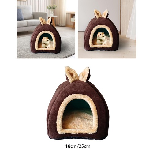 Guinea pig bed small animal - guinea,