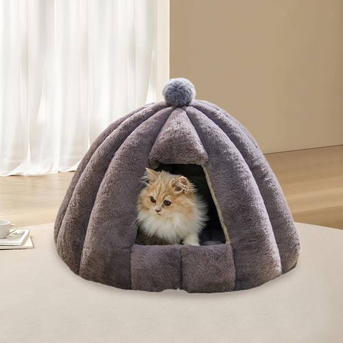 Semi closed cat nest - semi,