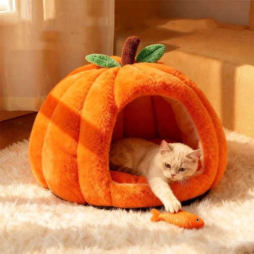 Pet dog cat - pet, bed
