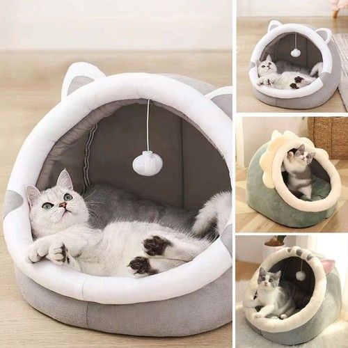 Semi enclosed dome - semi, warm