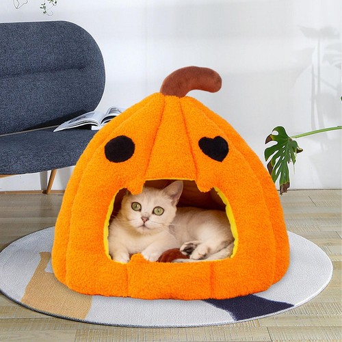Cat nest house dog - cat,