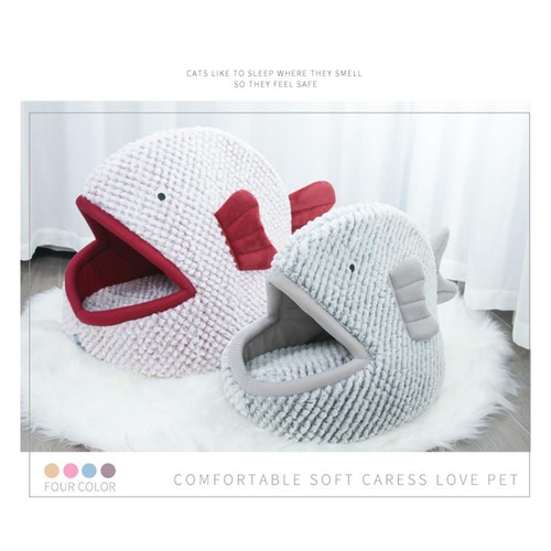 Cute cat bed - cute, kitten