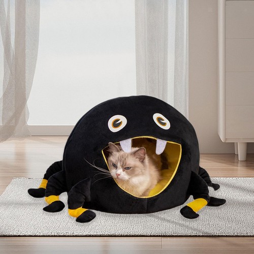 Pet cat dog - dog, warm