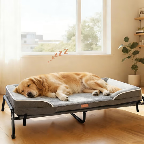 Raised dog bed large - dog,