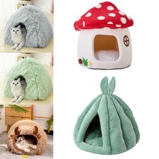 Semi-Enclosed Red Mushroom Pet