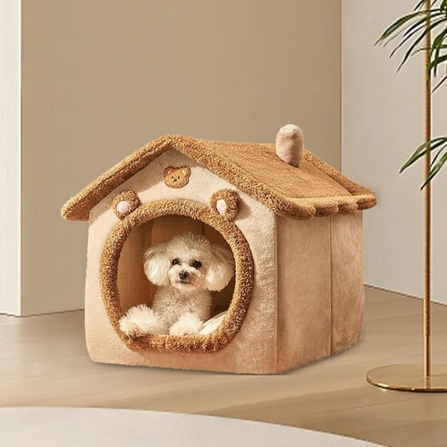 Pet dog cat - pet,