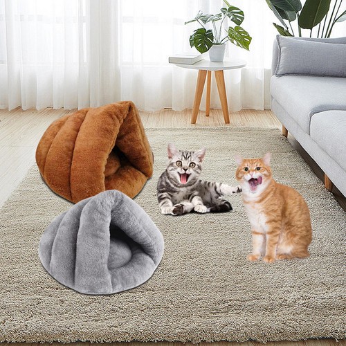 Slipper shaped dog bed - slipper, kitten