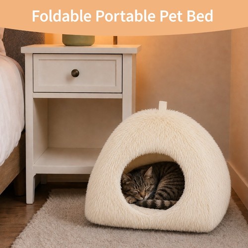 White semi enclosed - semi, cat
