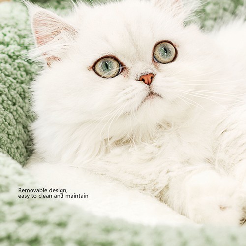 Cartoon cat bed semi enclosed - cartoon,