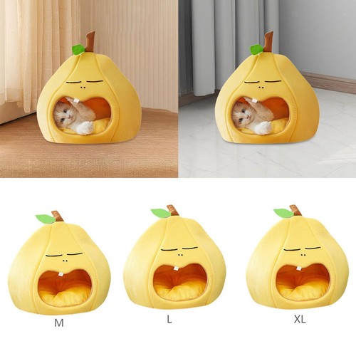 Semi enclosed pet - semi,