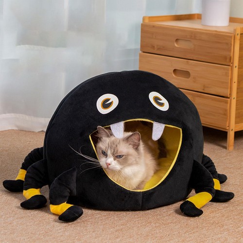 Pet cat dog - cat,