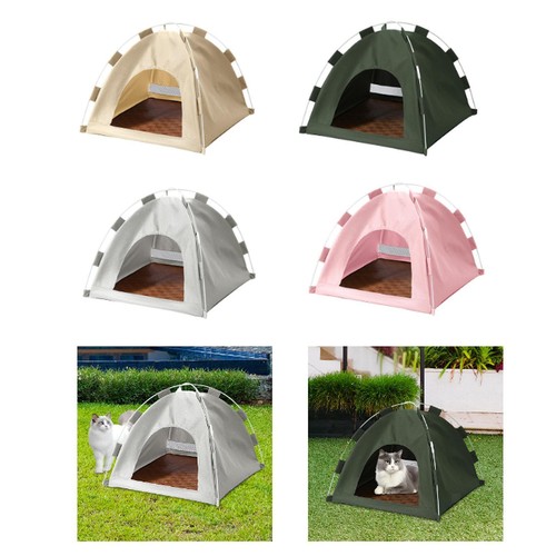 Cat dog pet - cat, tent