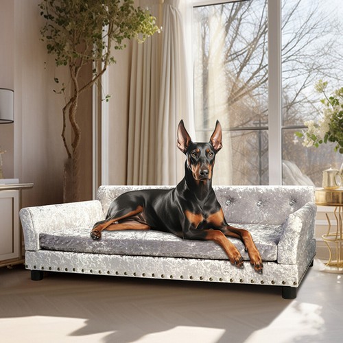 Large deluxe velvet - velvet, dog