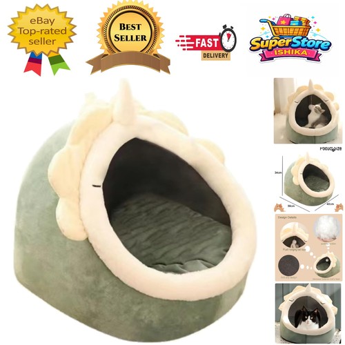 Cozy dinosaur cat - cozy, cave