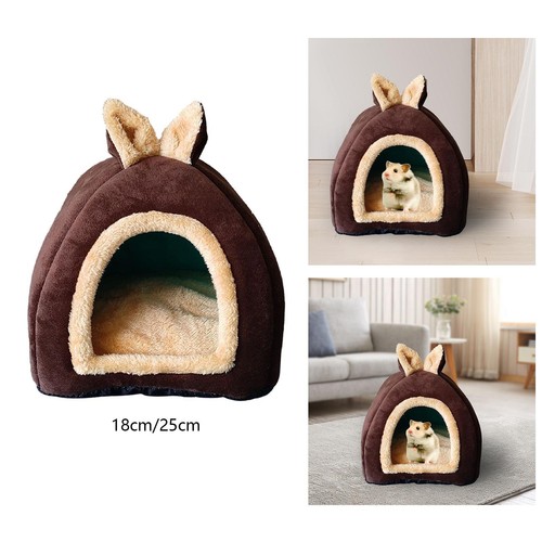 Small pet animals - small,