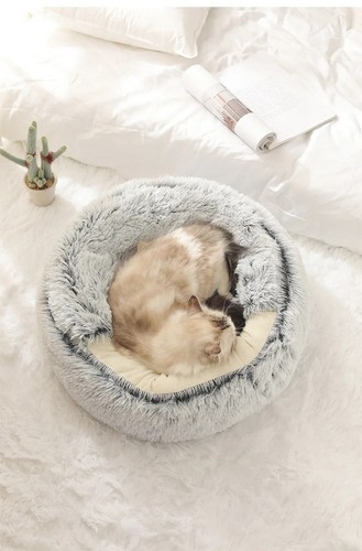 Winter plush pet - plush, bed