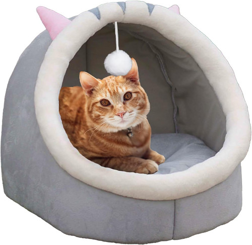Cat beds for indoor - for,