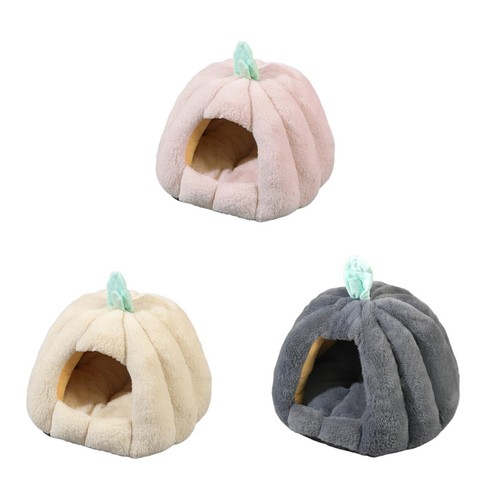 Cat nest kitty - cat, kennel